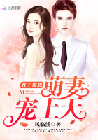 女律师的堕落高清hd