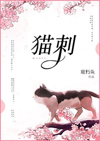 元媛作品集无删减版本