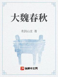 剑灵拳师怎么样