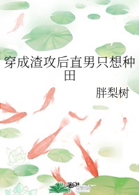 刘亦菲征服小说系列