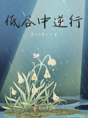 桂花蜜小说