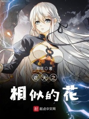 变形金刚7免费完整版