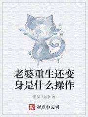 叶天明终极猎杀