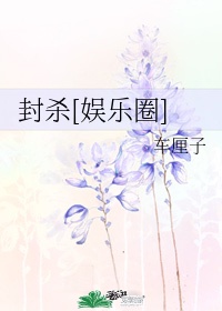 乡村大凶器未删节txt