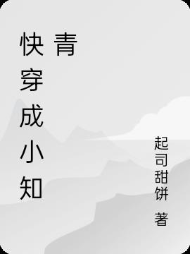 沙县小说