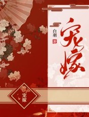 将军在上我在下小说百度云