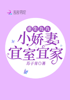 老师雅菲txt免费小说