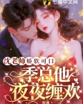 闪婚老公不见面小说免费观看