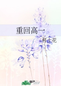 校花小说h