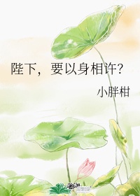 花好月圆txt