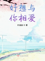 沙海简介