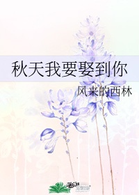 金银花露的小说全集