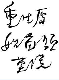 龙虎人生演员表