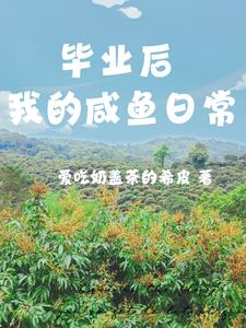 夏日情未了完整版免费观看