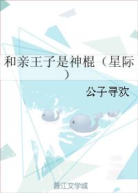 内衣办公室全集播放