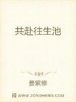 2024浅井舞香在线观看