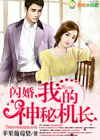 上门女婿叶辰完整版