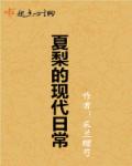 a级黄韩国免费播放