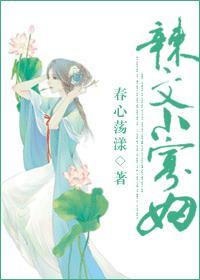 风流老师安安