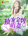 玩老女人