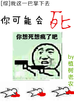 赛罗奥特曼国语版动画片全集