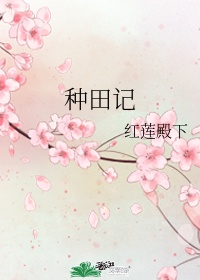 春意迟迟作者:时衿