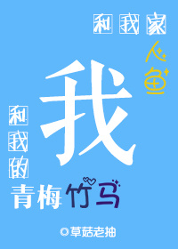 婚后爱情 小说