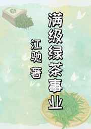 将军夫人又跑了