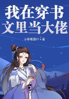 绝世神偷废材七小组 txt