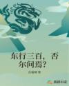 yy4a高清影院免费