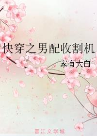 重生暖婚大财阀的小甜妻