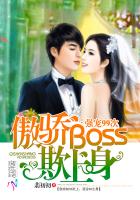 夜二少的二婚新妻