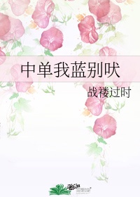 林天成情乱莲花村全文