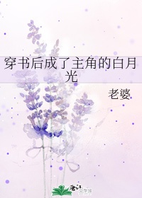 蒲剧全本