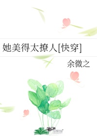 乐可金银花露林慕