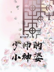 八妻子手机今日更新