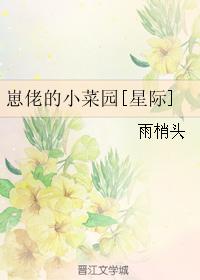 苏洛林妙颜