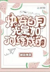 陈真电视剧老版30集