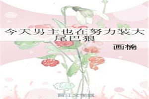 妻子6免费完整版