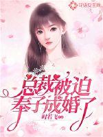 陆少宠妻无度