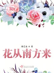 小马宝莉第四季