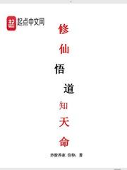 5人轮换怎么玩