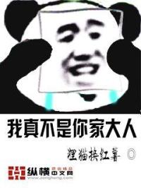 哈欠兄小说