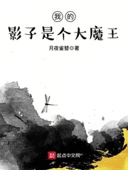 女友小冰小说目录