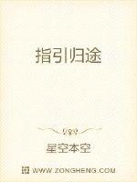 总裁的33日