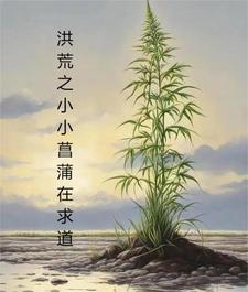 媚妇放荡小说