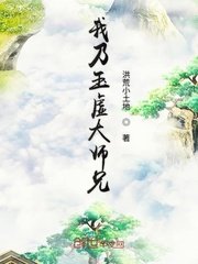 苏菲赵东来小说苏菲正版