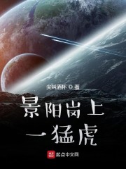 年轻的空姐中文版