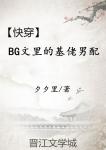 金梅瓶无删减版pdf