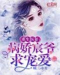 枫无涯小说完整版